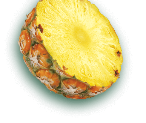 saint-mamet-ananas-tranché