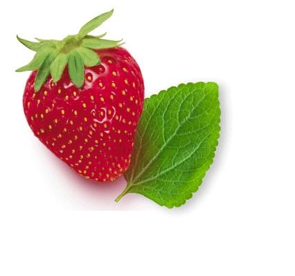 saint-mamet-fraises-feuille