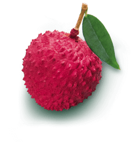 saint-mamet-litchi