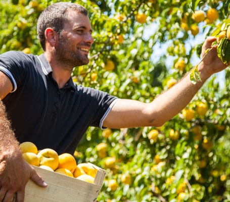 saint-mamet-photo-homme-pommes