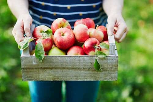 saint-mamet-paniers-de-fruits-pommes