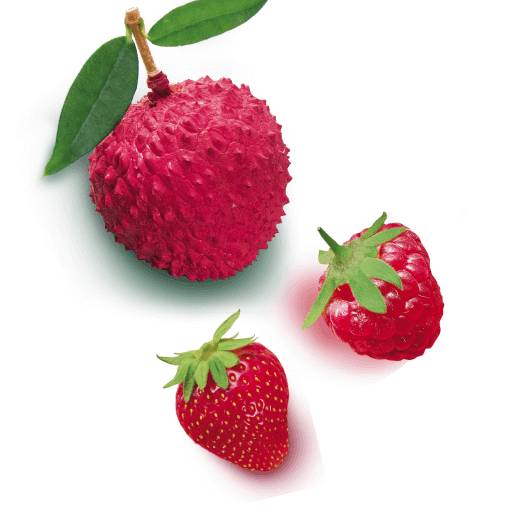 saint-mamet-fruits-rouges-cerise-framboise-fraises