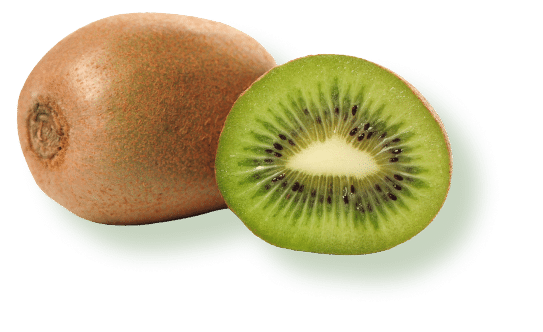 Saint Mamet - Kiwi - Plaisir de fruits