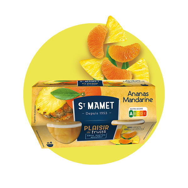 Saint Mamet - Plaisir de fruits Cup ananas mandarine