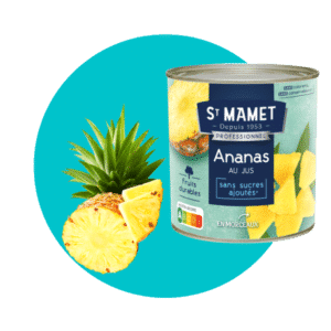 Ananas morceaus St Mamet professionnel rhf