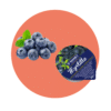 Confiture de myrtille 45% de fruits St Mamet professionnel RHF