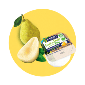 Pastille desire of fruits pear Bio St Mamet professional