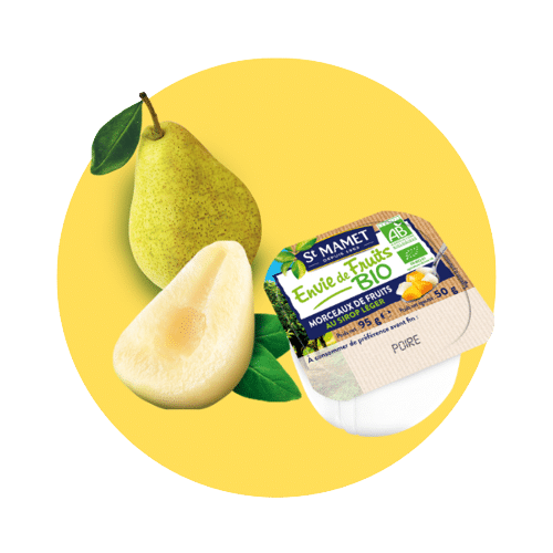 Pastille envie de fruits poire Bio St Mamet professionnel