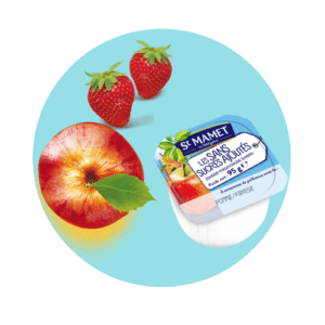 Pastille compote pomme fraise sans sucres ajoutés St Mamet professionnel