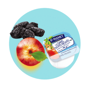 Pastille apple prune compote without added sugar St Mamet professional