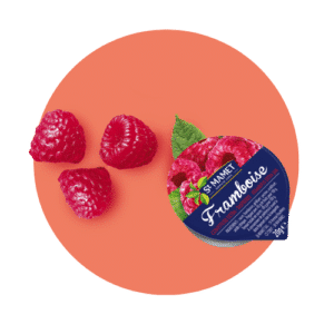 Raspberry jam 45% of fruits St Mamet professional RHF