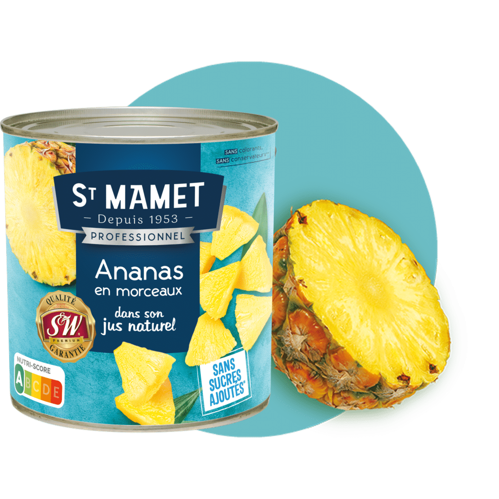 Ananas morceaux St Mamet A10