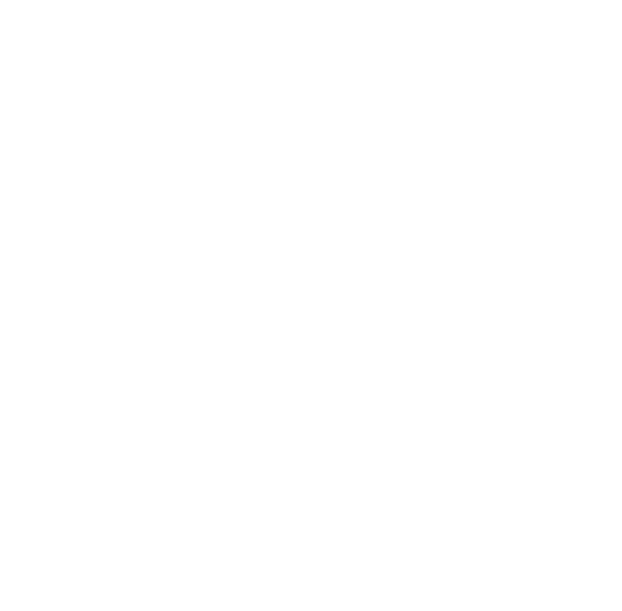 jus brut pomme mangue