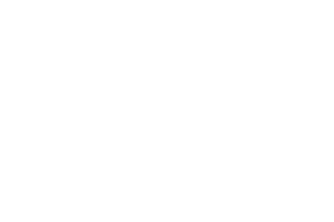 Le Jus fruit Brut saint mamet