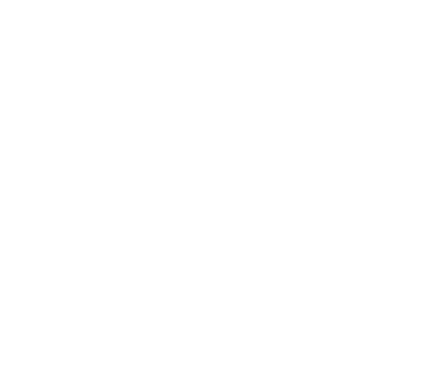 Jus d'orange brut