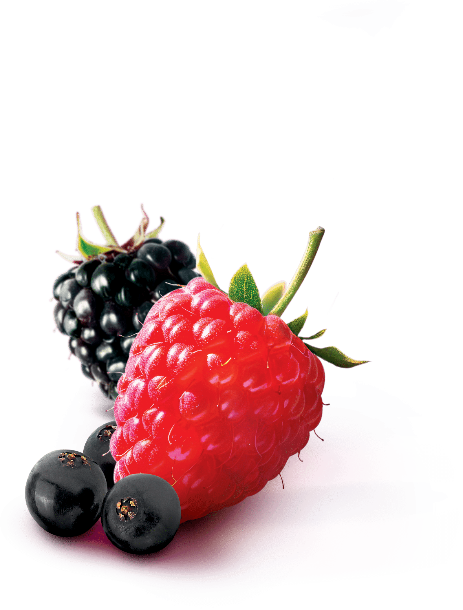 Grenadine